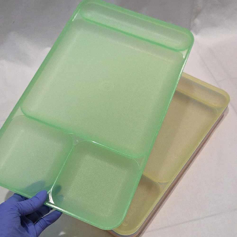Tupperware Pastel Divided Trays Impressions Set of 4